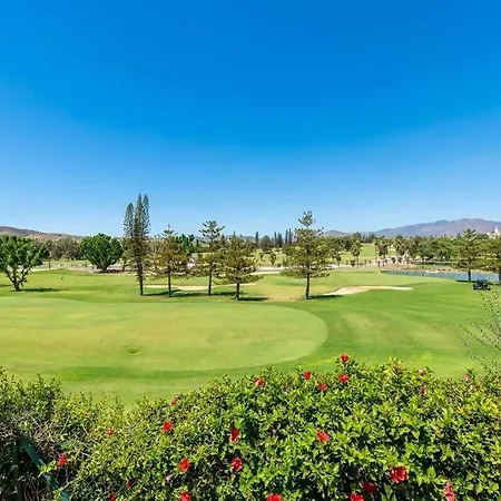 Flat In Matchroom Golf Pool